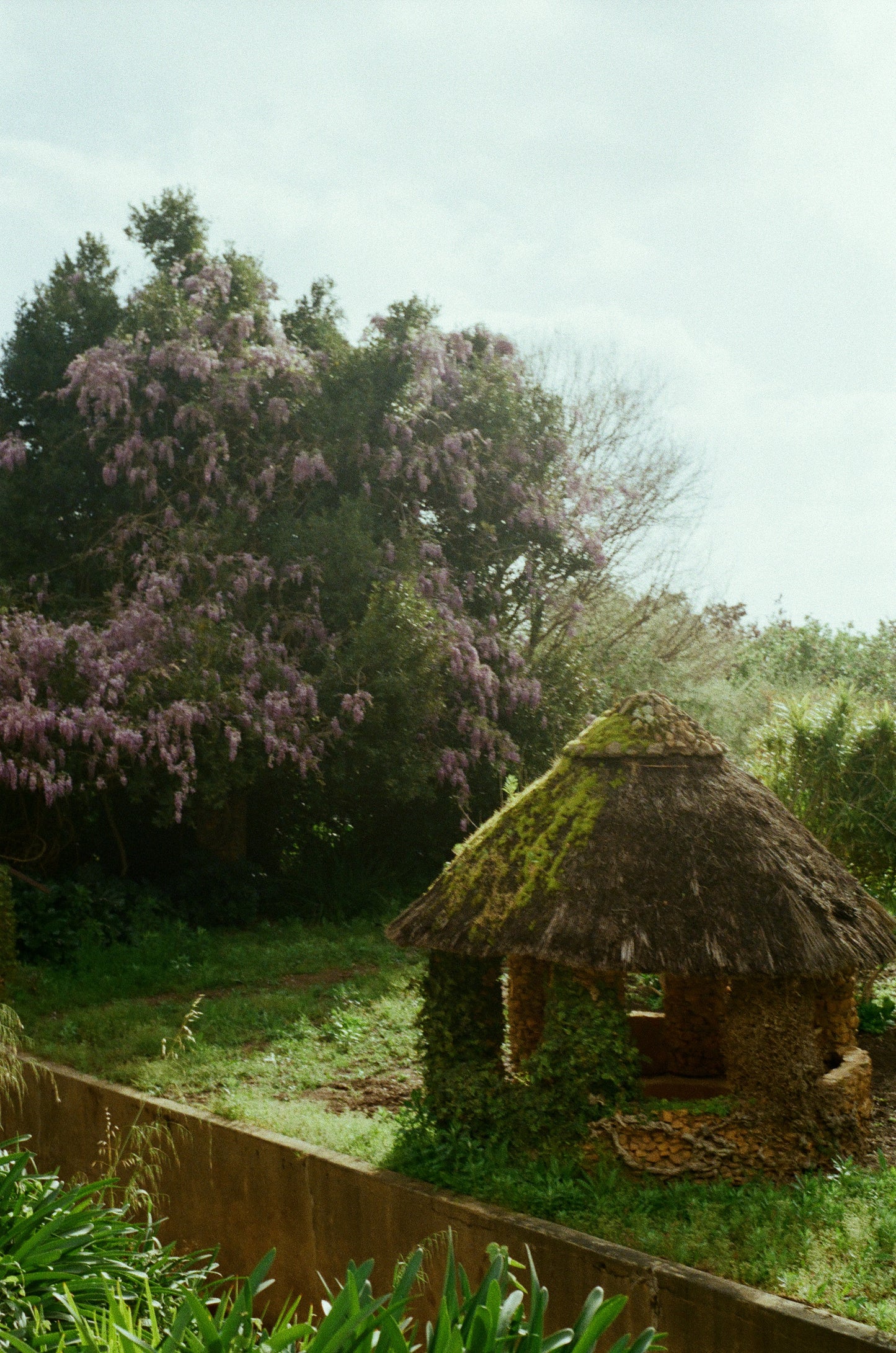 Neverland