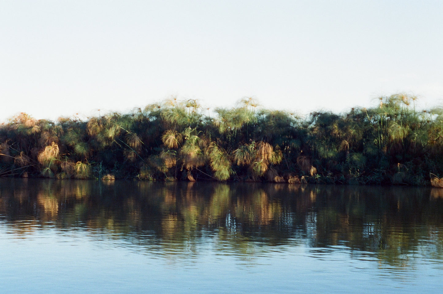 Zambezi Scene