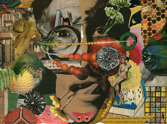 Finding Meaning Through Fragments