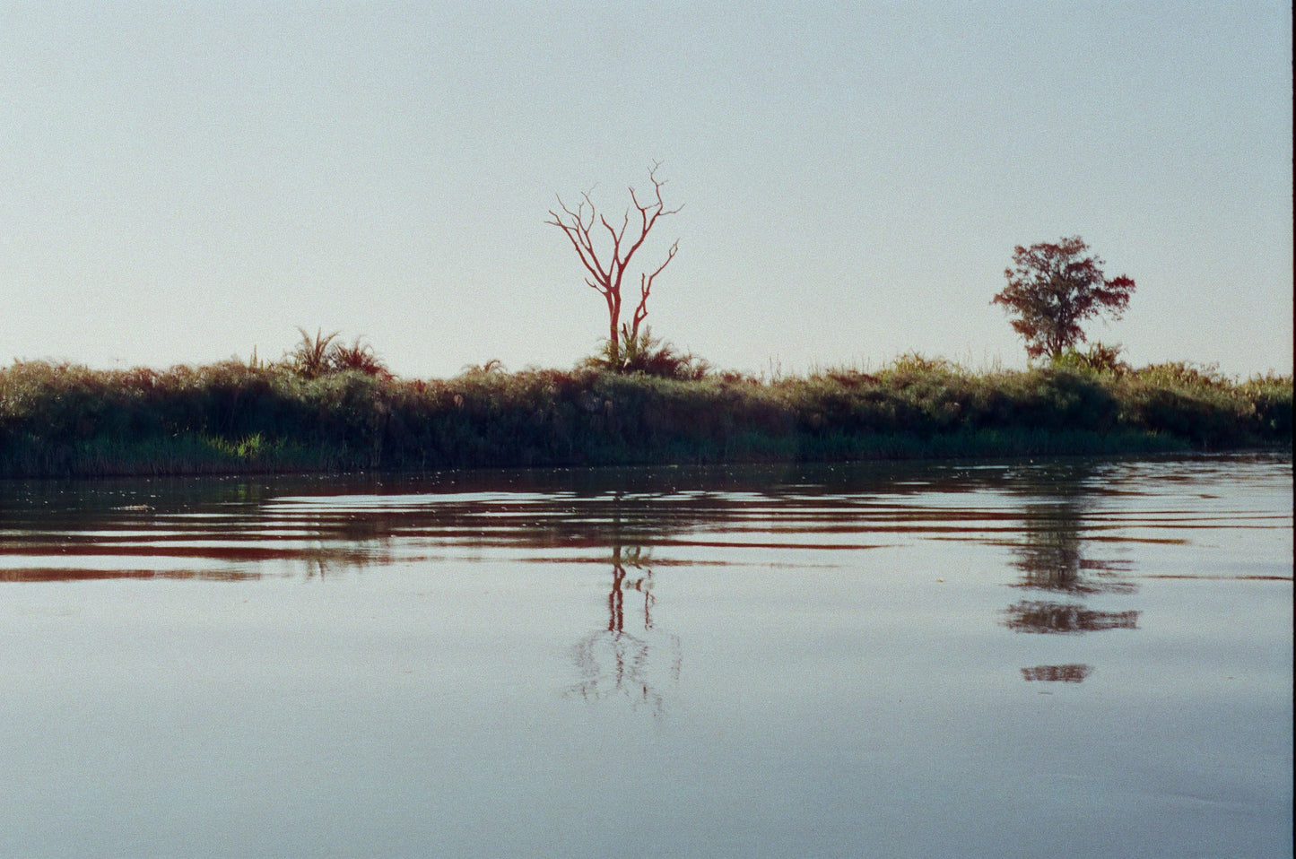 Zambezi Serenity